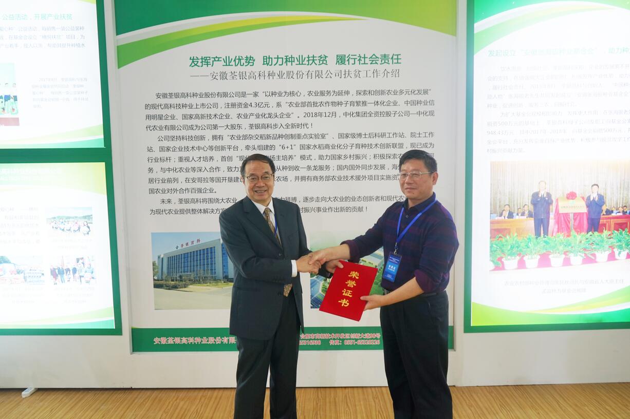 华人策略最新地址