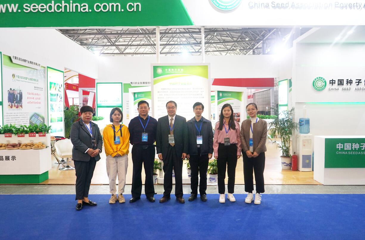 华人策略最新地址