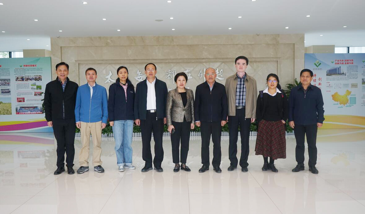 华人策略最新地址