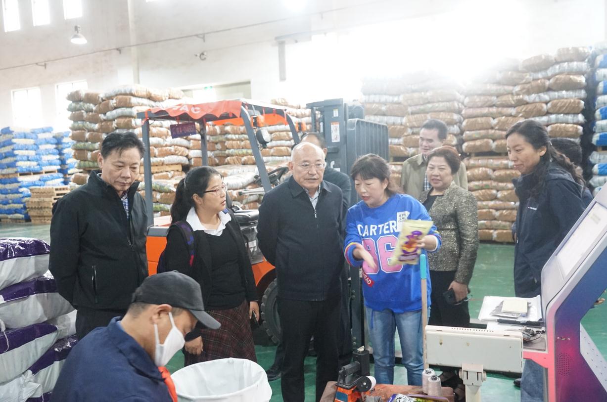 华人策略最新地址