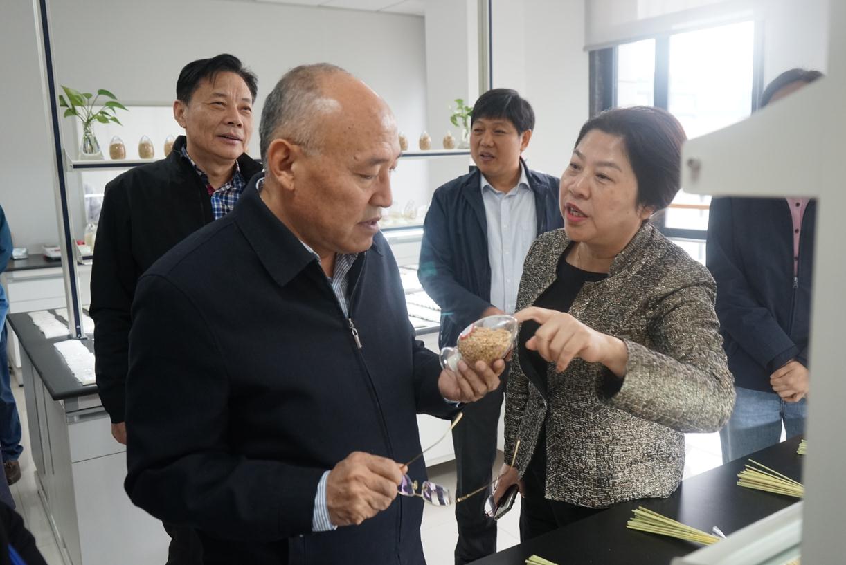 华人策略最新地址