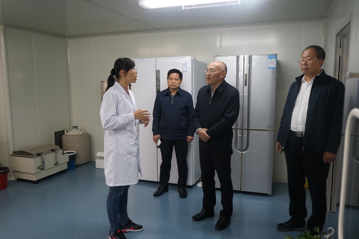 华人策略最新地址