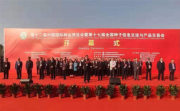 华人策略最新地址