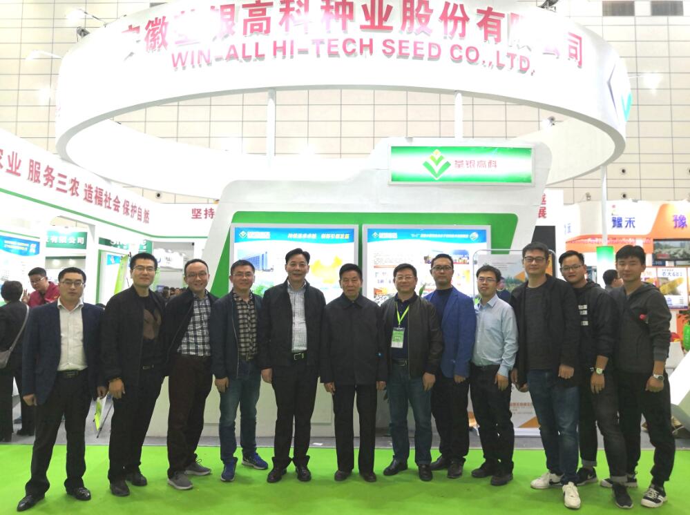 华人策略最新地址