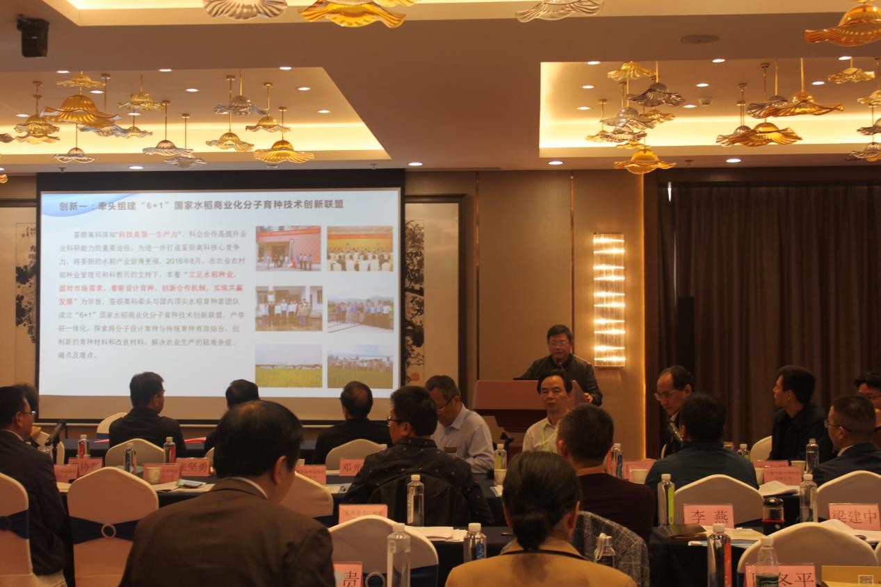 华人策略最新地址