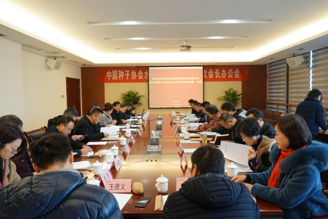 华人策略最新地址