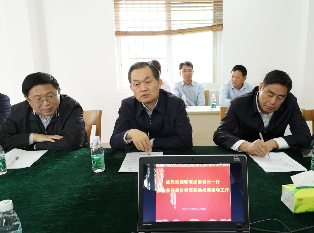 华人策略最新地址