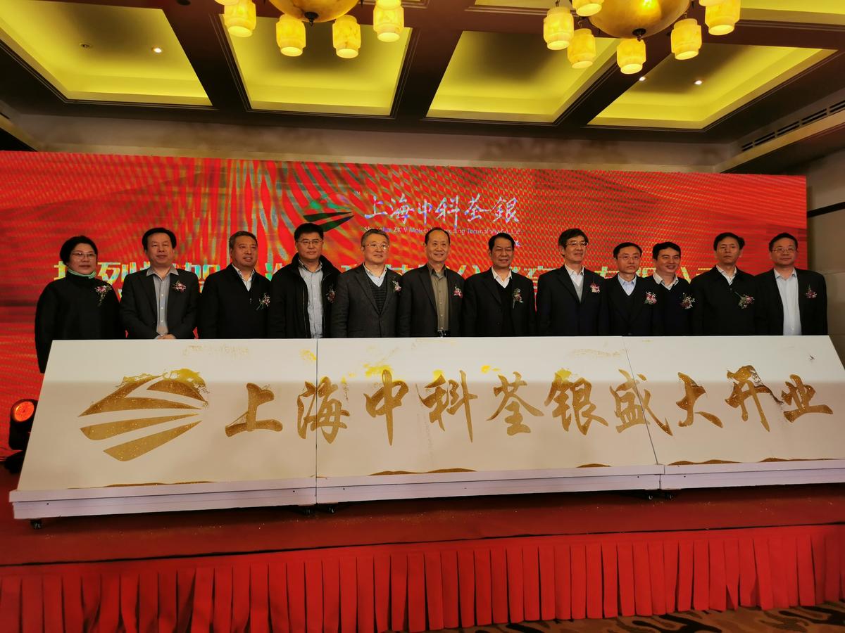 华人策略最新地址