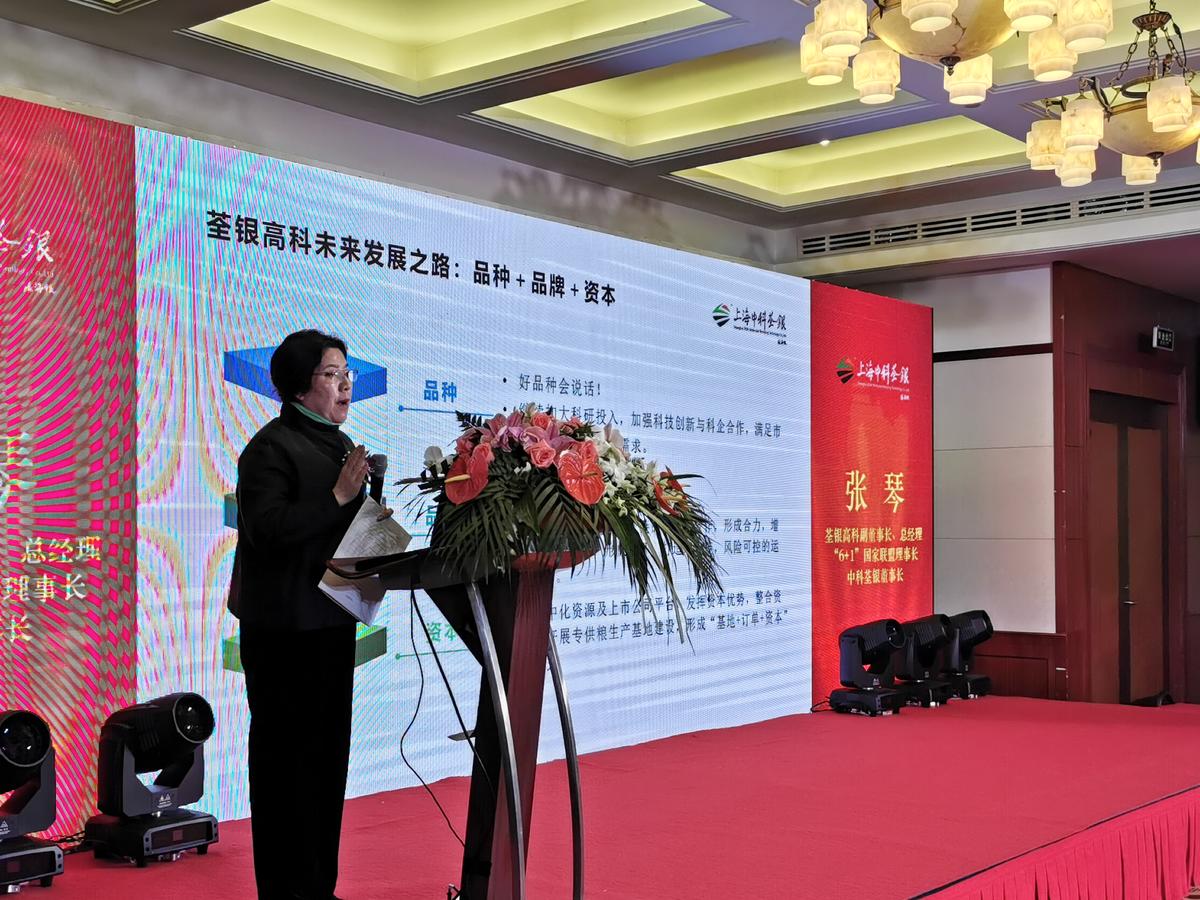 华人策略最新地址