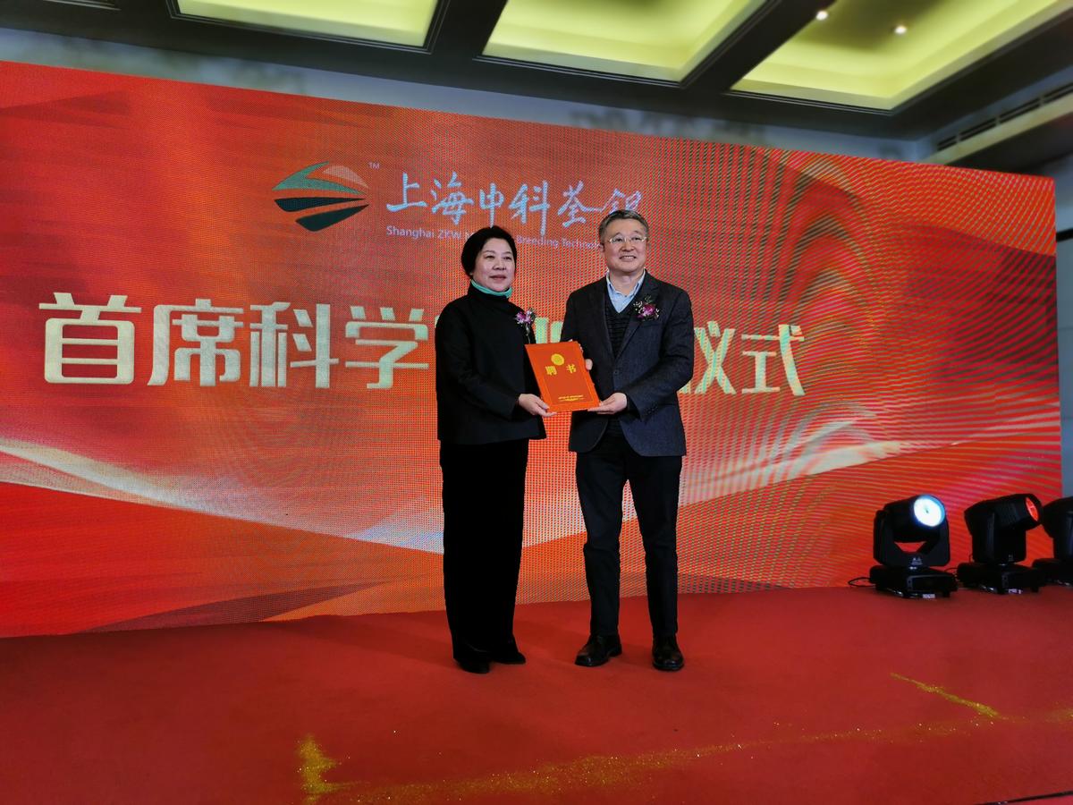 华人策略最新地址