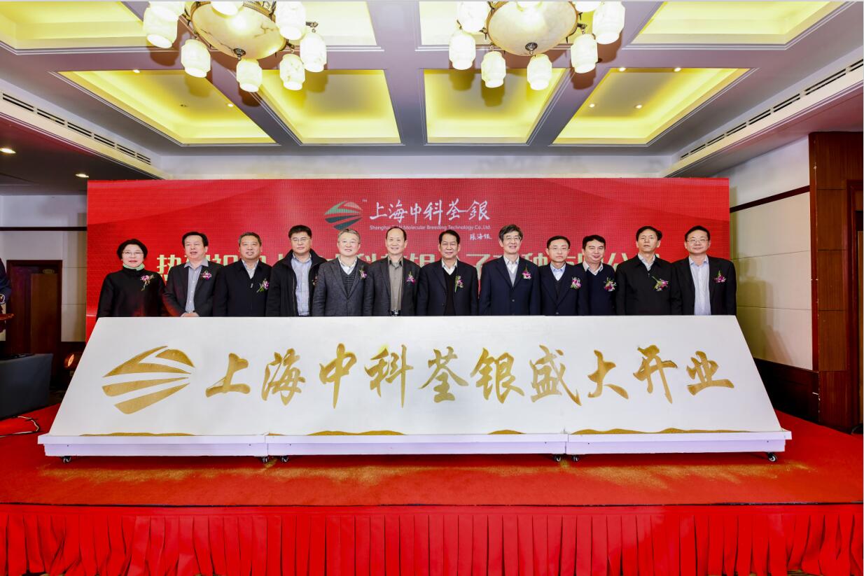 华人策略最新地址