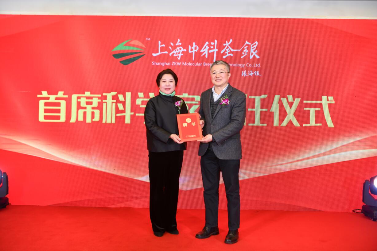 华人策略最新地址