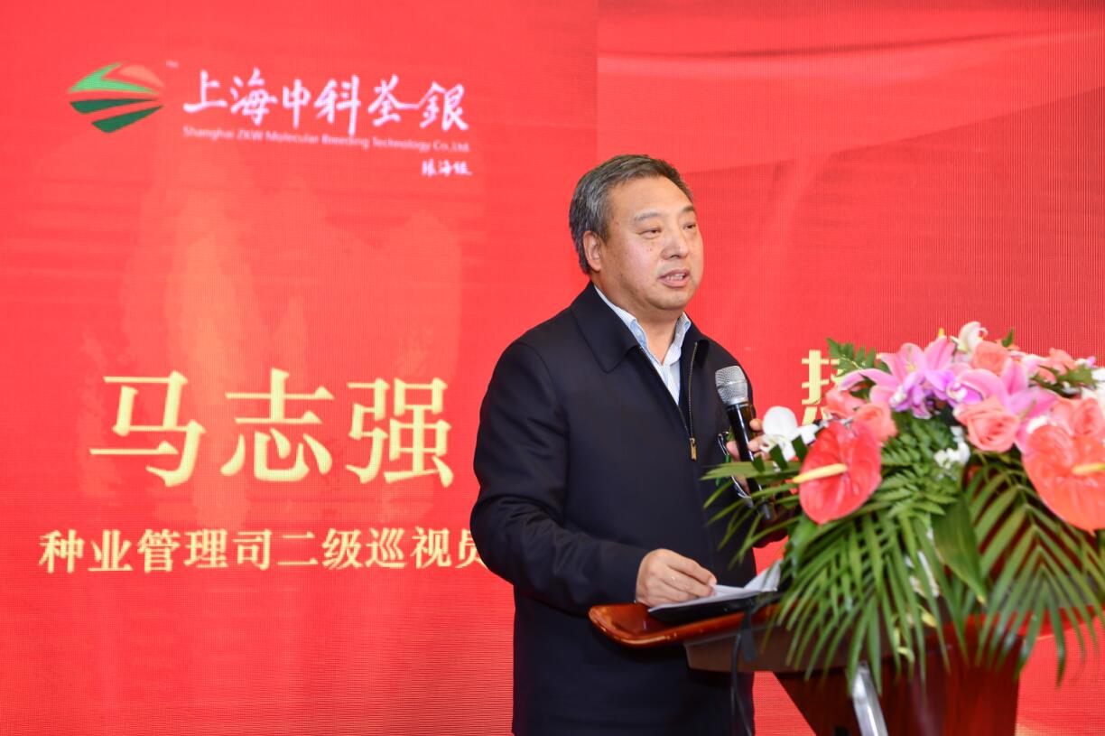 华人策略最新地址