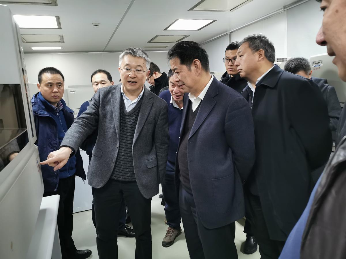 华人策略最新地址