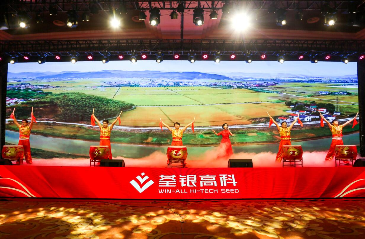 华人策略最新地址