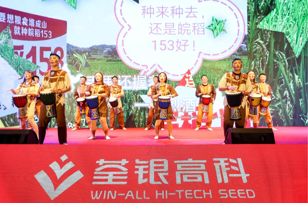 华人策略最新地址