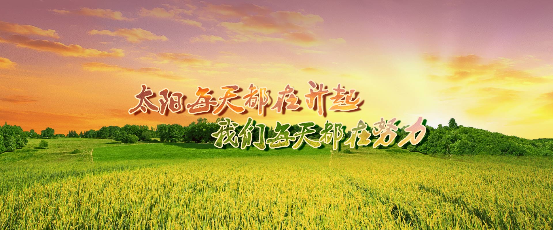 华人策略最新地址