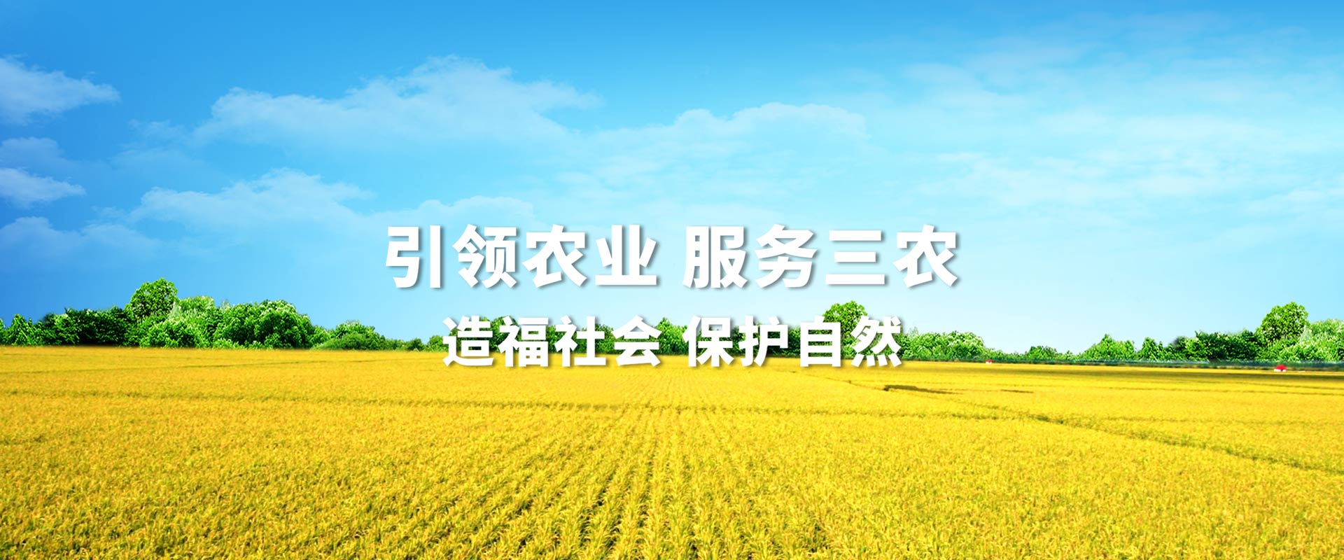 华人策略最新地址