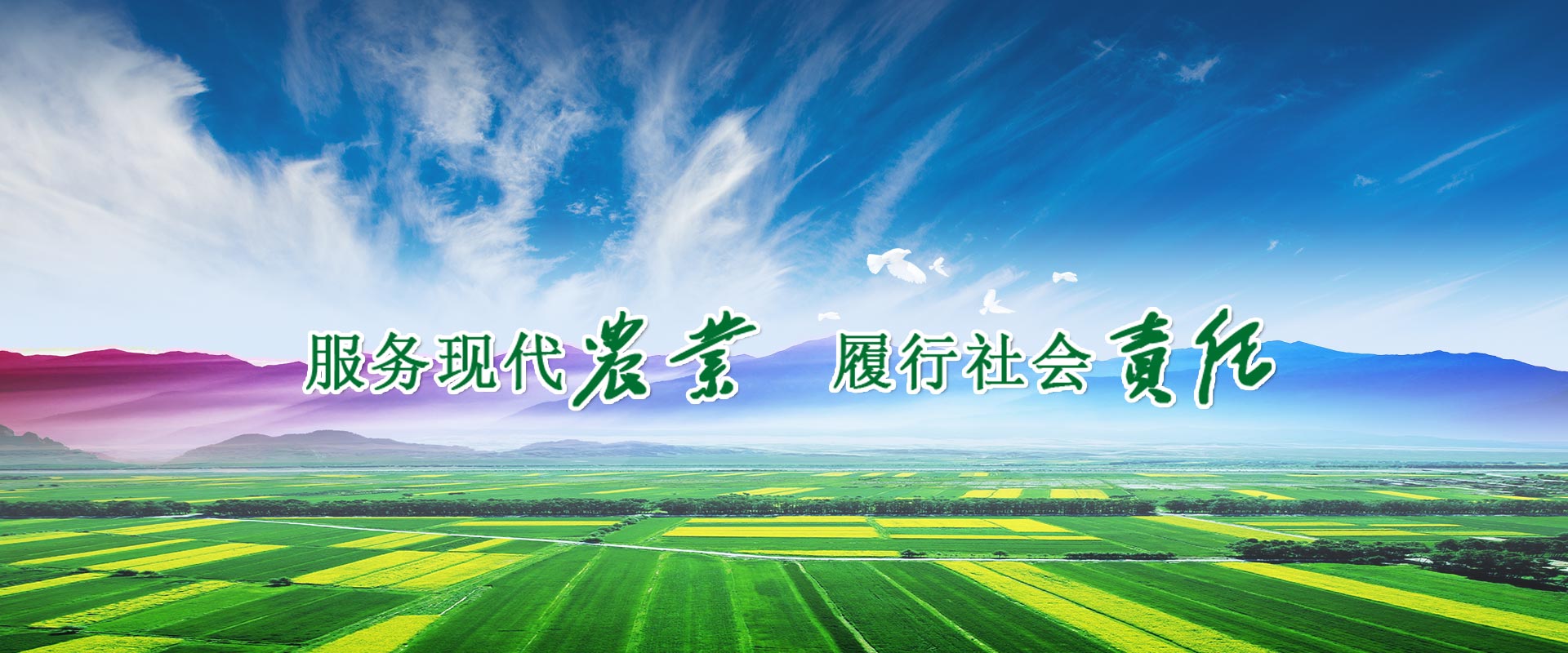 华人策略最新地址