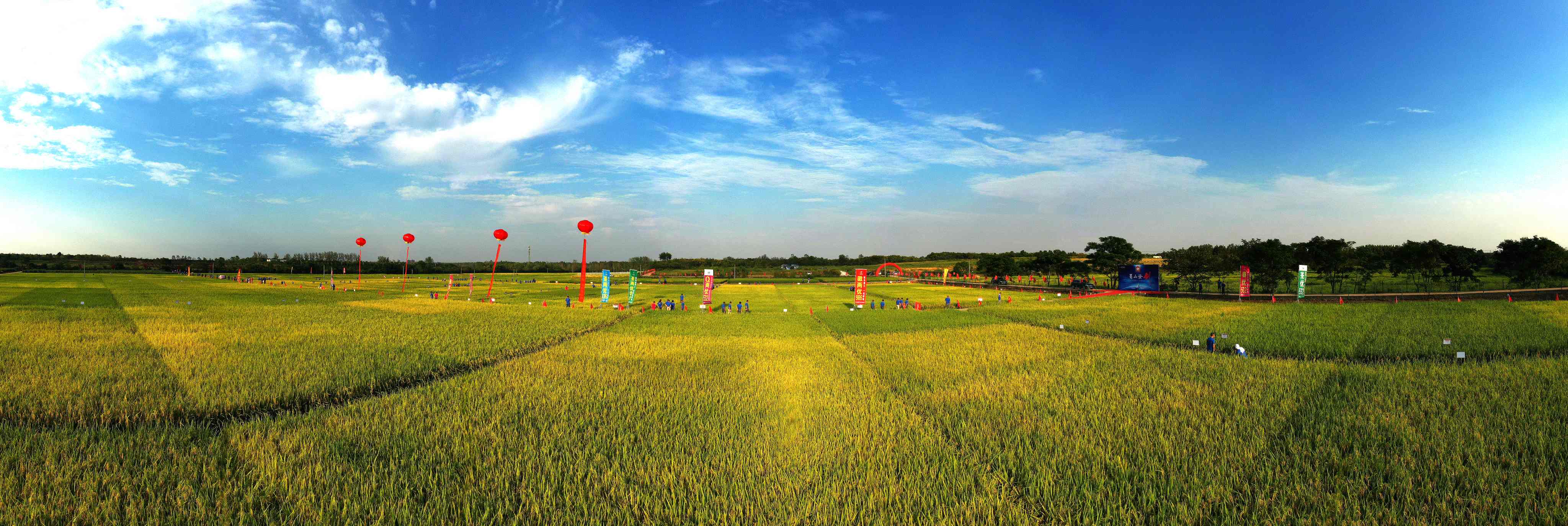 荃银高科 版权所有 (50)(1).JPG