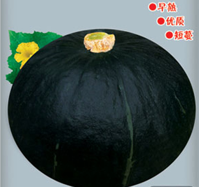 华人策略最新地址