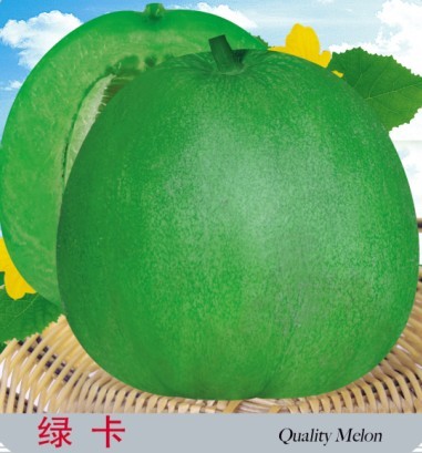 华人策略最新地址