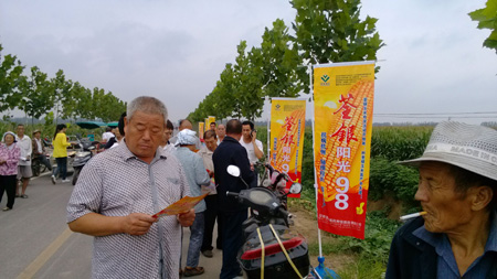 华人策略最新地址