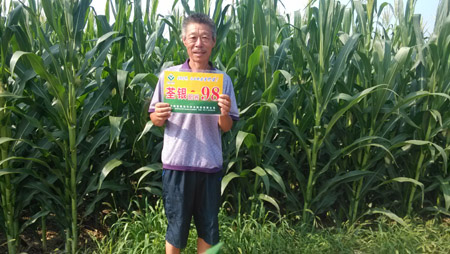 华人策略最新地址