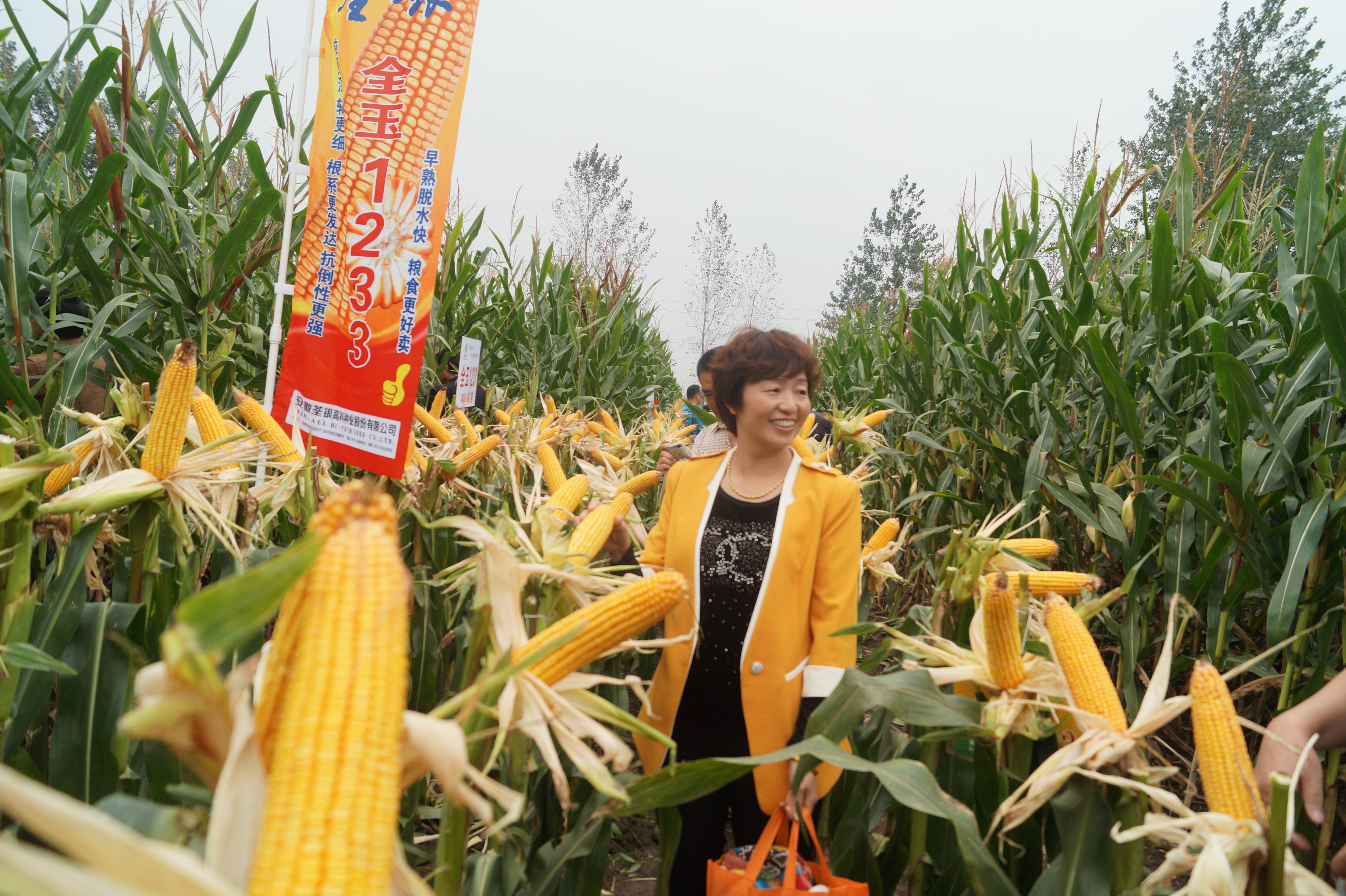 华人策略最新地址