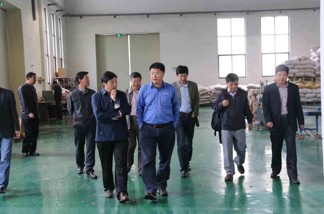 华人策略最新地址