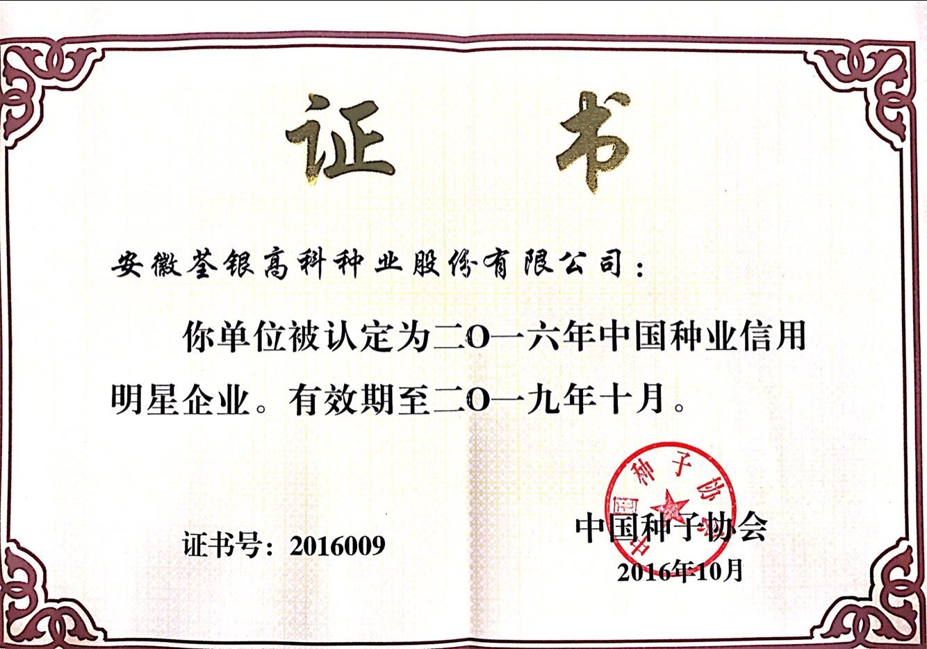 华人策略最新地址