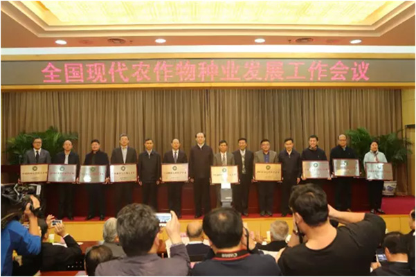 华人策略最新地址